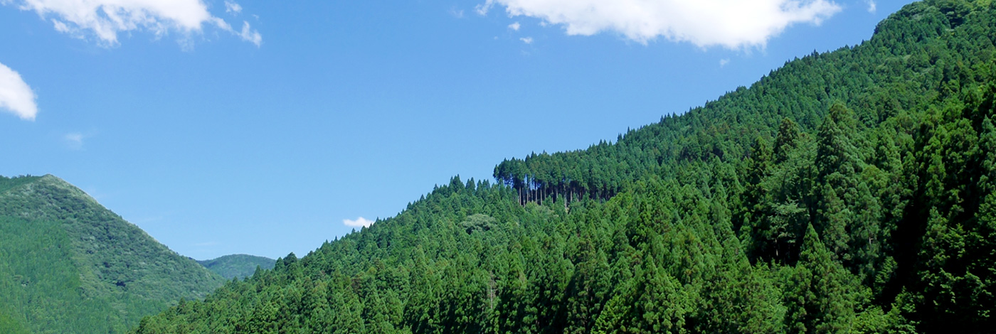 グループ企業の連携でお客様のご要望、改善にタイムリーに対応いたします。