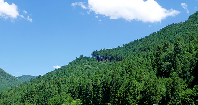 グループ企業の連携でお客様のご要望、改善にタイムリーに対応いたします。