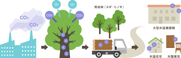 カーボンニュートラル