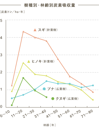 樹種別・林齢別炭素吸収量