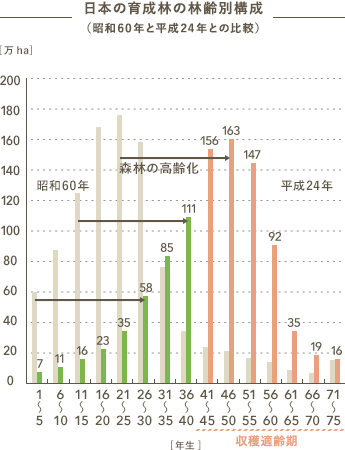日本の育成林の林齢別構成（昭和60年と平成24年との比較）